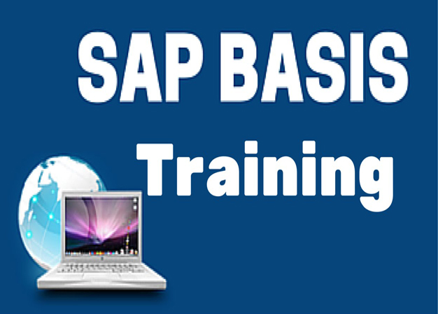 Best SAP BASIS Training Course in Gurgaon, Noida & Delhi NCR