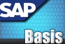 SAP BASIS